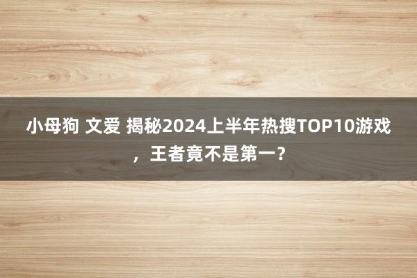 小母狗 文爱 揭秘2024上半年热搜TOP10游戏，王者竟不是第一？