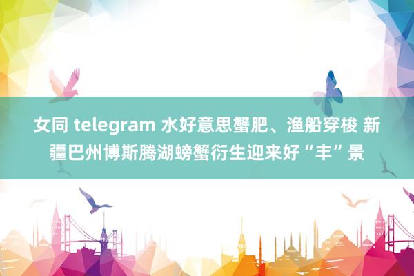 女同 telegram 水好意思蟹肥、渔船穿梭 新疆巴州博斯腾湖螃蟹衍生迎来好“丰”景