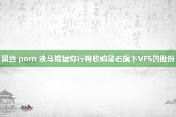 黑丝 porn 淡马锡据称行将收购黑石旗下VFS的股份