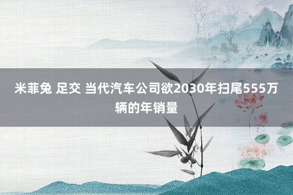 米菲兔 足交 当代汽车公司欲2030年扫尾555万辆的年销量