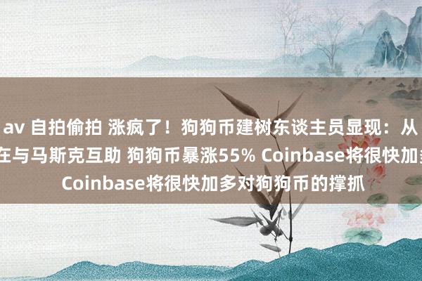 av 自拍偷拍 涨疯了！狗狗币建树东谈主员显现：从2019年起就一直在与马斯克互助 狗狗币暴涨55% Coinbase将很快加多对狗狗币的撑抓