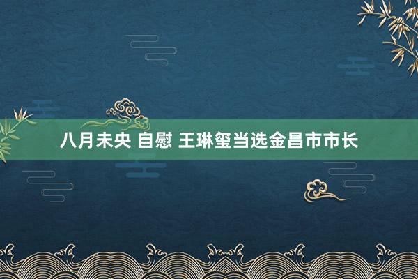 八月未央 自慰 王琳玺当选金昌市市长