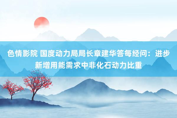 色情影院 国度动力局局长章建华答每经问：进步新增用能需求中非化石动力比重