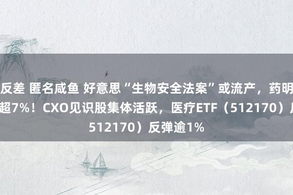 反差 匿名咸鱼 好意思“生物安全法案”或流产，药明康德飙涨超7%！CXO见识股集体活跃，医疗ETF（512170）反弹逾1%