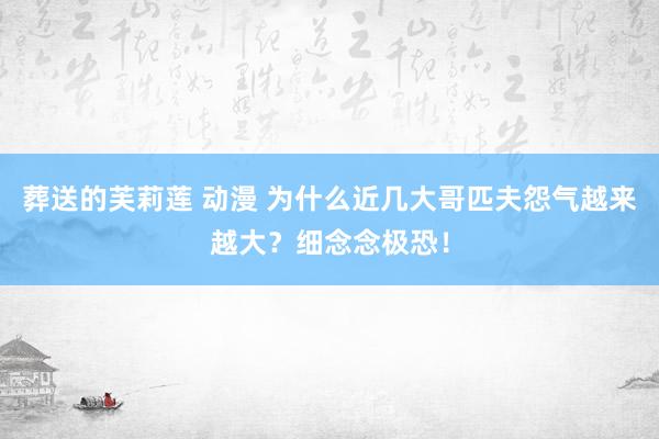 葬送的芙莉莲 动漫 为什么近几大哥匹夫怨气越来越大？细念念极恐！