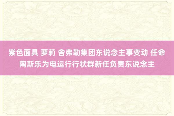 紫色面具 萝莉 舍弗勒集团东说念主事变动 任命陶斯乐为电运行行状群新任负责东说念主