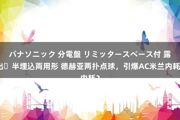 パナソニック 分電盤 リミッタースペース付 露出・半埋込両用形 德赫亚两扑点球，引爆AC米兰内耗？