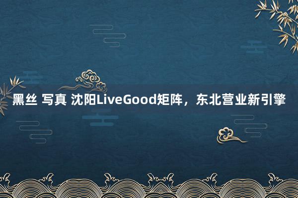 黑丝 写真 沈阳LiveGood矩阵，东北营业新引擎