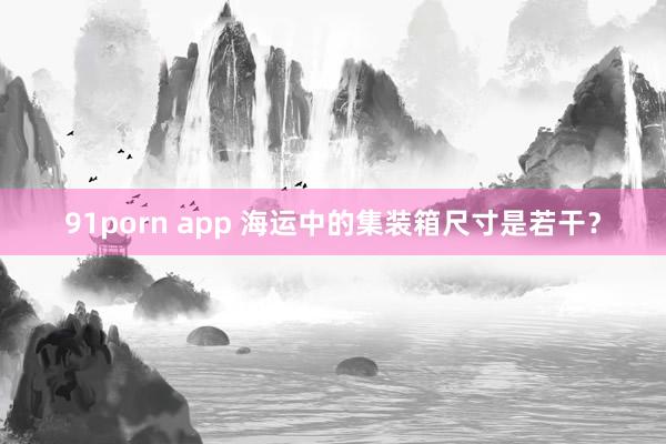 91porn app 海运中的集装箱尺寸是若干？