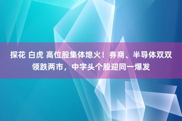 探花 白虎 高位股集体熄火！券商、半导体双双领跌两市，中字头个股迎同一爆发