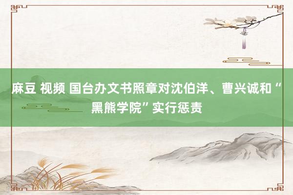 麻豆 视频 国台办文书照章对沈伯洋、曹兴诚和“黑熊学院”实行惩责