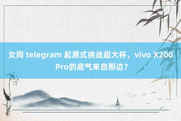 女同 telegram 起原式挑战超大杯，vivo X200 Pro的底气来自那边？