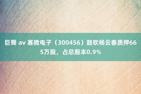 巨臀 av 赛微电子（300456）鼓吹杨云春质押665万股，占总股本0.9%