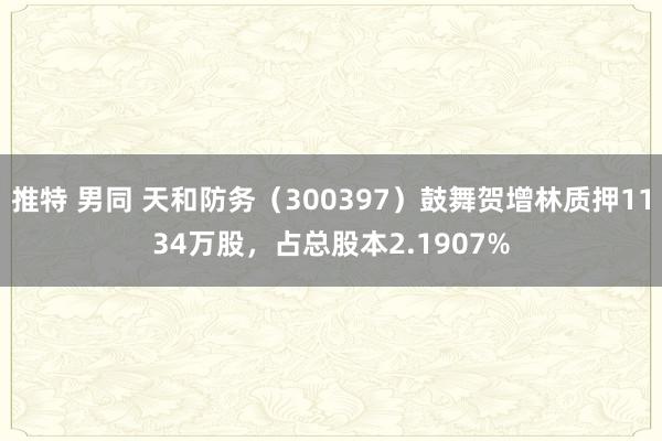 推特 男同 天和防务（300397）鼓舞贺增林质押1134万股，占总股本2.1907%