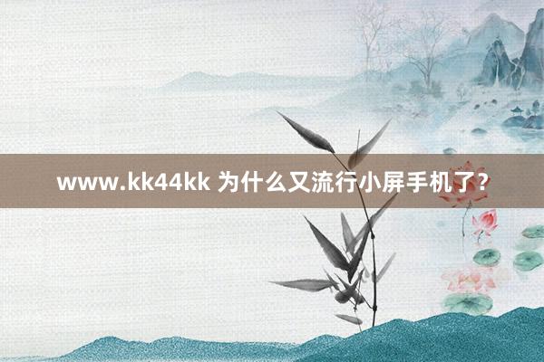 www.kk44kk 为什么又流行小屏手机了？