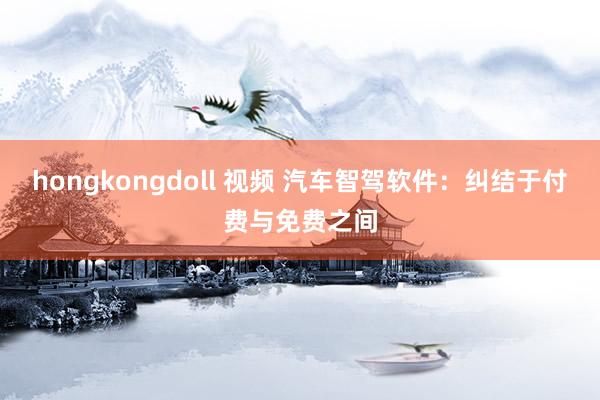 hongkongdoll 视频 汽车智驾软件：纠结于付费与免费之间