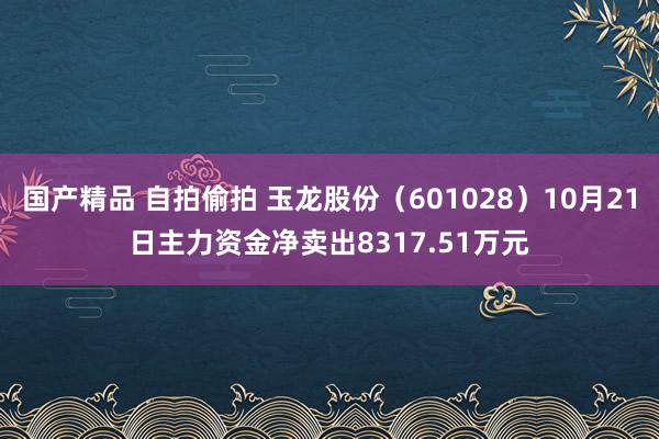 国产精品 自拍偷拍 玉龙股份（601028）10月21日主力资金净卖出8317.51万元