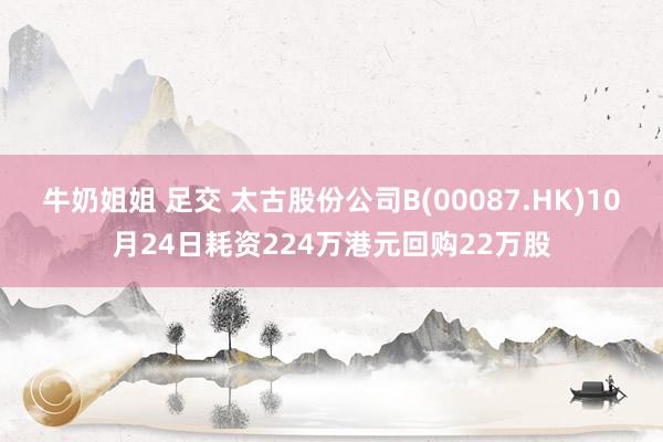 牛奶姐姐 足交 太古股份公司B(00087.HK)10月24日耗资224万港元回购22万股