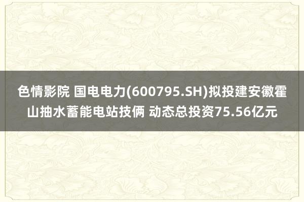 色情影院 国电电力(600795.SH)拟投建安徽霍山抽水蓄能电站技俩 动态总投资75.56亿元