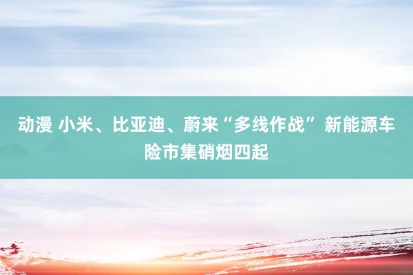 动漫 小米、比亚迪、蔚来“多线作战” 新能源车险市集硝烟四起