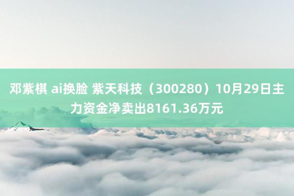 邓紫棋 ai换脸 紫天科技（300280）10月29日主力资金净卖出8161.36万元