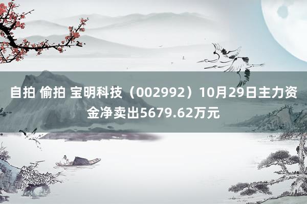 自拍 偷拍 宝明科技（002992）10月29日主力资金净卖出5679.62万元