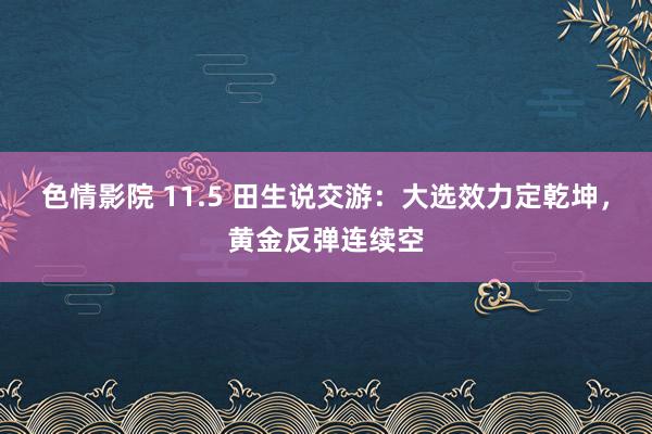 色情影院 11.5 田生说交游：大选效力定乾坤，黄金反弹连续空