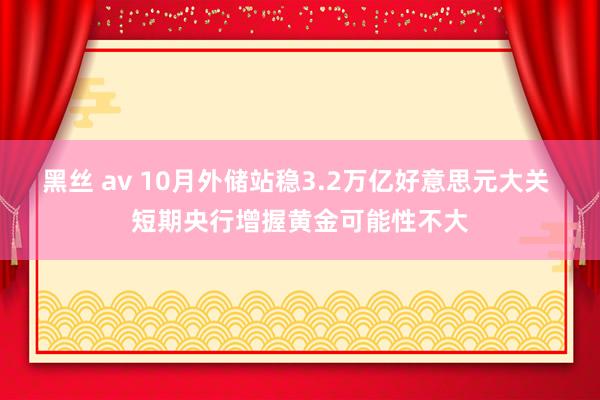 黑丝 av 10月外储站稳3.2万亿好意思元大关 短期央行增握黄金可能性不大