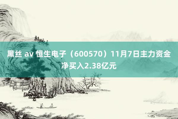 黑丝 av 恒生电子（600570）11月7日主力资金净买入2.38亿元