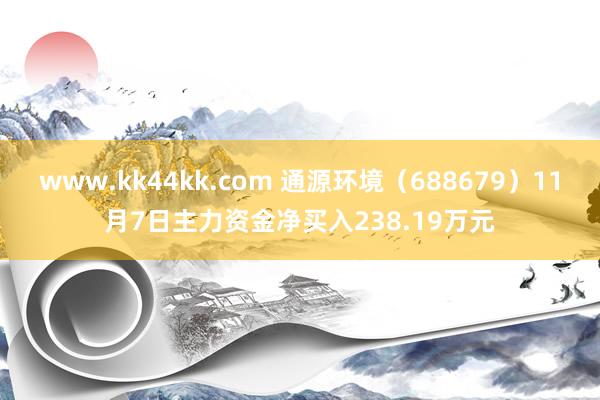 www.kk44kk.com 通源环境（688679）11月7日主力资金净买入238.19万元