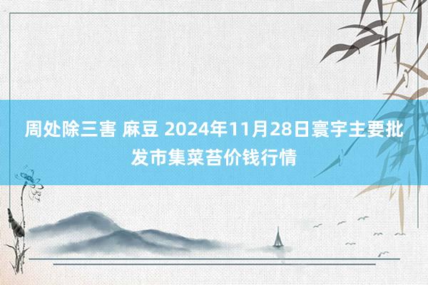 周处除三害 麻豆 2024年11月28日寰宇主要批发市集菜苔价钱行情