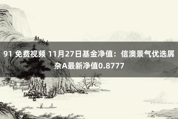 91 免费视频 11月27日基金净值：信澳景气优选羼杂A最新净值0.8777