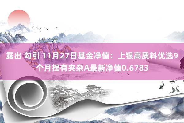 露出 勾引 11月27日基金净值：上银高质料优选9个月捏有夹杂A最新净值0.6783