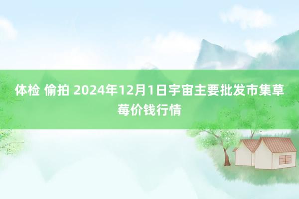 体检 偷拍 2024年12月1日宇宙主要批发市集草莓价钱行情