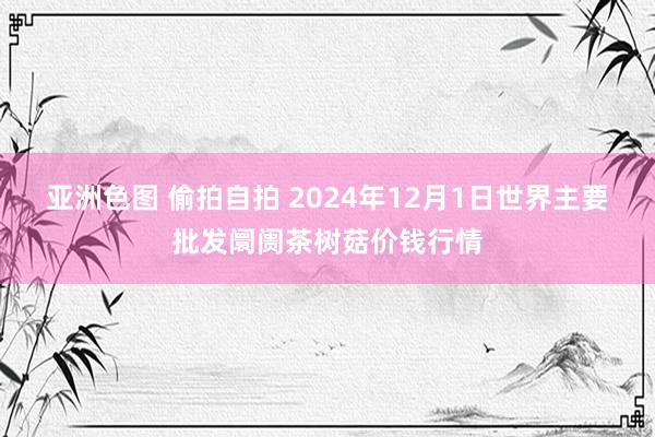 亚洲色图 偷拍自拍 2024年12月1日世界主要批发阛阓茶树菇价钱行情