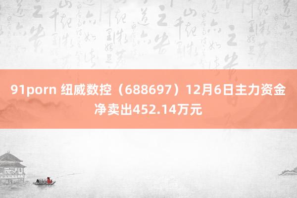 91porn 纽威数控（688697）12月6日主力资金净卖出452.14万元