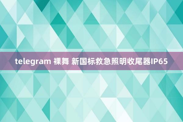 telegram 裸舞 新国标救急照明收尾器IP65