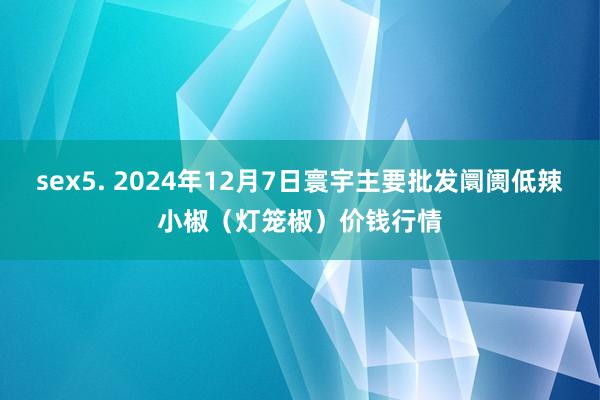 sex5. 2024年12月7日寰宇主要批发阛阓低辣小椒（灯笼椒）价钱行情