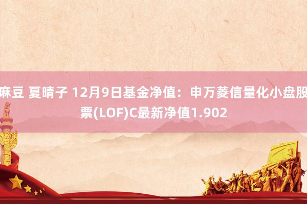 麻豆 夏晴子 12月9日基金净值：申万菱信量化小盘股票(LOF)C最新净值1.902