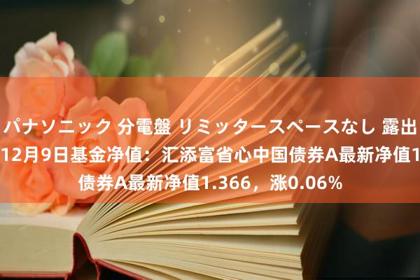 パナソニック 分電盤 リミッタースペースなし 露出・半埋込両用形 12月9日基金净值：汇添富省心中国债券A最新净值1.366，涨0.06%