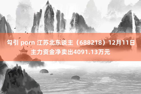 勾引 porn 江苏北东谈主（688218）12月11日主力资金净卖出4091.13万元