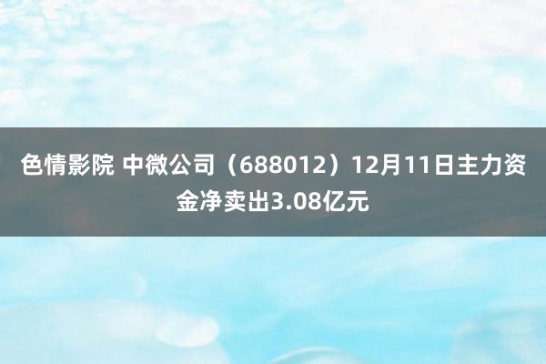 色情影院 中微公司（688012）12月11日主力资金净卖出3.08亿元