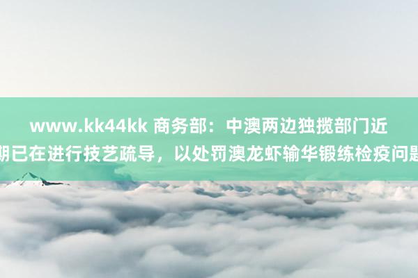 www.kk44kk 商务部：中澳两边独揽部门近期已在进行技艺疏导，以处罚澳龙虾输华锻练检疫问题