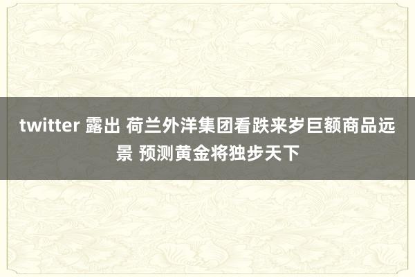 twitter 露出 荷兰外洋集团看跌来岁巨额商品远景 预测黄金将独步天下