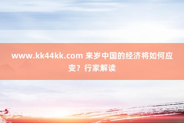 www.kk44kk.com 来岁中国的经济将如何应变？行家解读