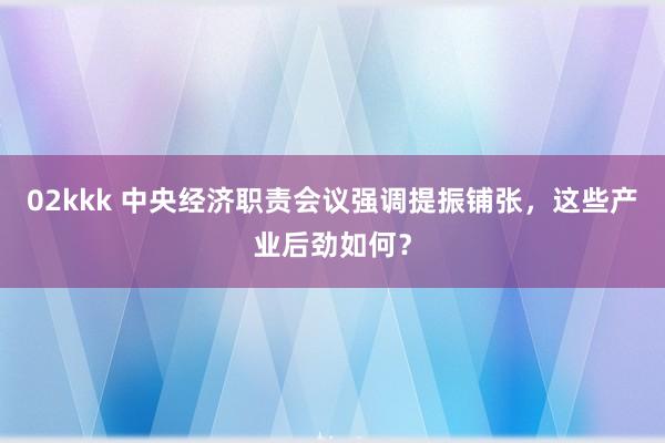 02kkk 中央经济职责会议强调提振铺张，这些产业后劲如何？