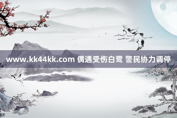 www.kk44kk.com 偶遇受伤白鹭 警民协力调停