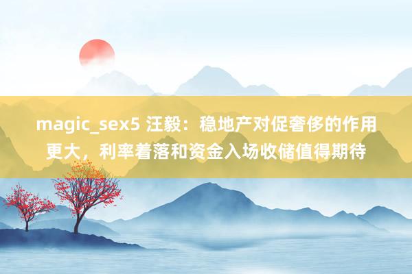 magic_sex5 汪毅：稳地产对促奢侈的作用更大，利率着落和资金入场收储值得期待