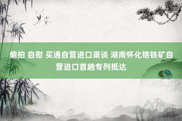 偷拍 自慰 买通自营进口渠谈 湖南怀化铬铁矿自营进口首趟专列抵达