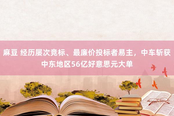 麻豆 经历屡次竞标、最廉价投标者易主，中车斩获中东地区56亿好意思元大单